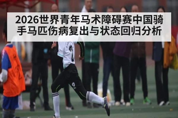 2026世界青年马术障碍赛中国骑手马匹伤病复出与状态回归分析